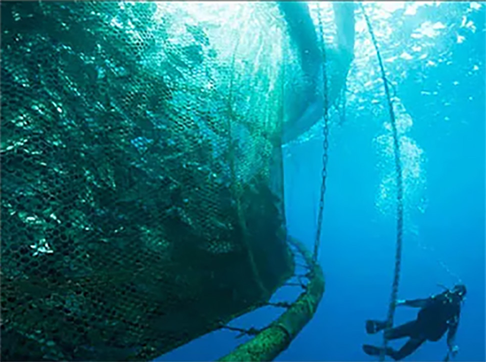 Aquaculture Net Cage