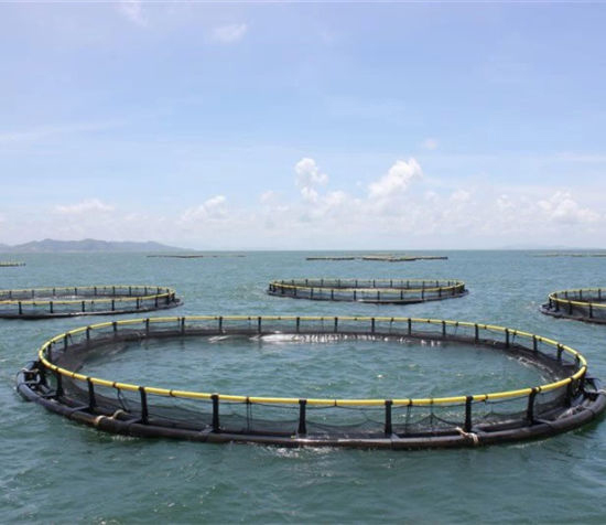 Aquaculture Net Cage