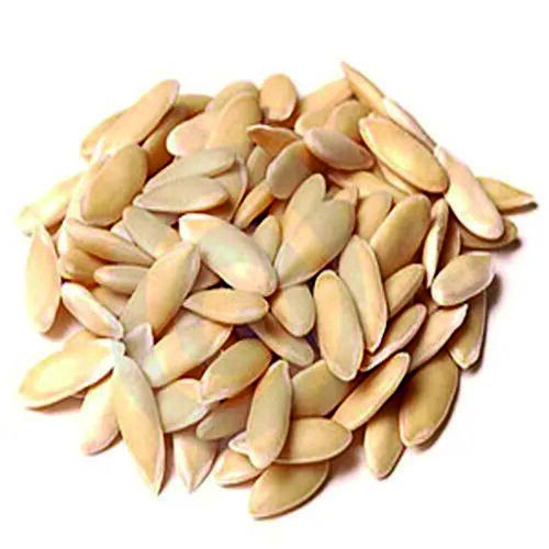 Cucumber Seed Carrier Oil