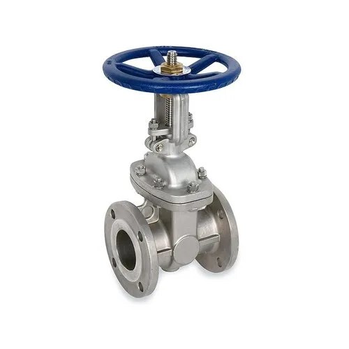 SS Gate Valve