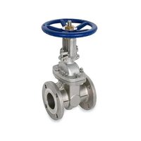 Ss Gate Valve - Color: Silvar