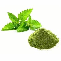 Dehydrated Mint leaves powder A GRADE