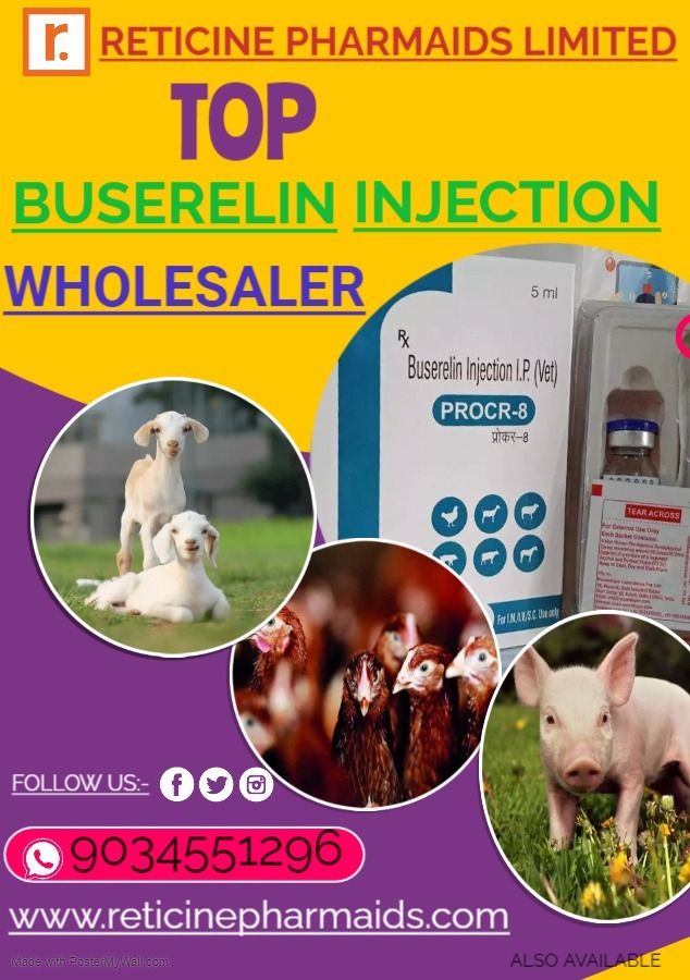 VETERINARY INJECTION MANUFACTURER IN MANIPUR