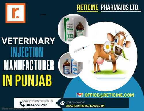 VETERINARY INJECTION MANUFACTURER IN PUNJAB