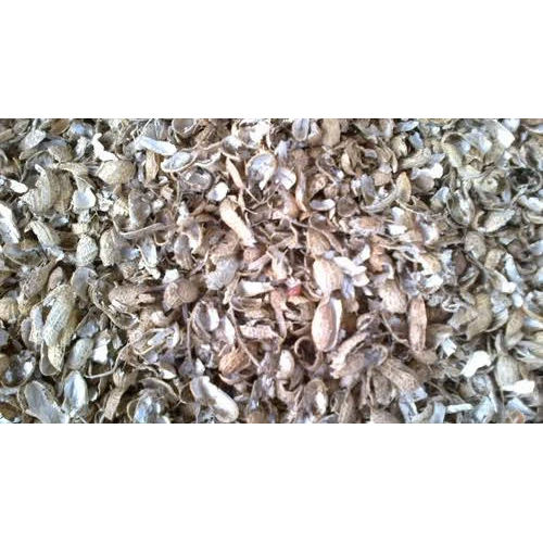 Brown Ground Nut Shell