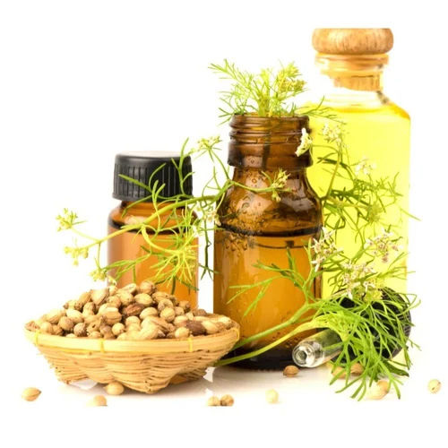 Coriander Seed Pure Essential Oil Purity: High