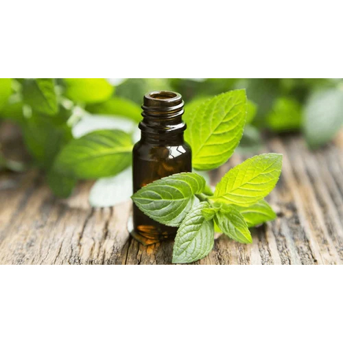 Lemon Balm Essential Oil