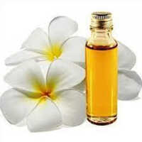 Tuberose Absolute Essential Oil - Purity: High