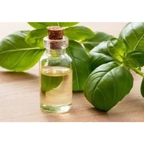 Tulsi Liquid Basil Oil