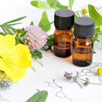 Anethole Essential Oil Purity: High