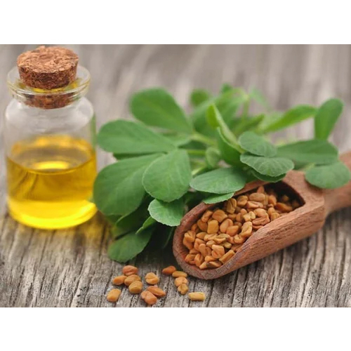 Pure Fenugreek Oil