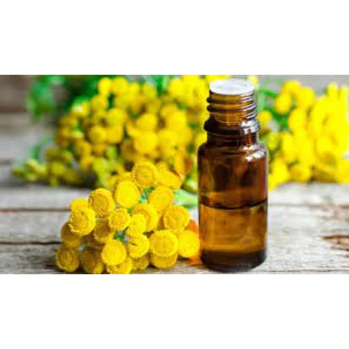 Blue Tansy Oil