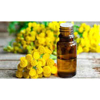 Blue Tansy Oil