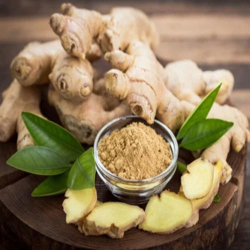 Ginger Extract - Direction: As Suggested