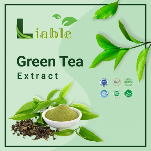 Green Tea Extract Powder