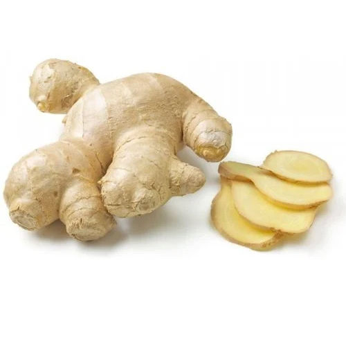 Ginger Extract Ginger