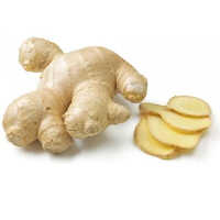 Ginger Extract Ginger - Purity: High