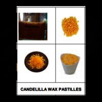 Candelilla Wax Pastilles - Natural Vegetable Wax, Vegan Alternative To Beeswax, Soluble In Alcohol, Ideal For Body Care And Candle Making
