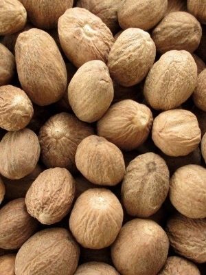 Kerala Nutmeg - Color: Light Brown