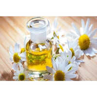 Chamomile German Essential Oil