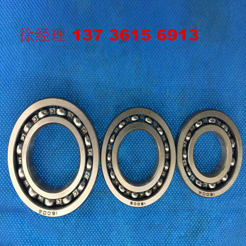 6006X2-2RS Bottom roller bearing textile mchinery bearings
