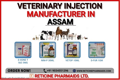 VETERINARY INJECTION MANUFACTURER IN ASSAM