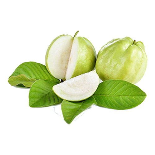 Fresh Guava - Premium Quality, Round Green Fruit | Sweet Taste, 7-Day Shelf Life, Handpicked from Orchards