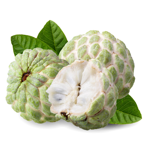 Fresh Custard Apple