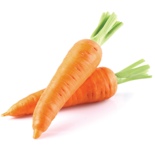 Fresh Carrots