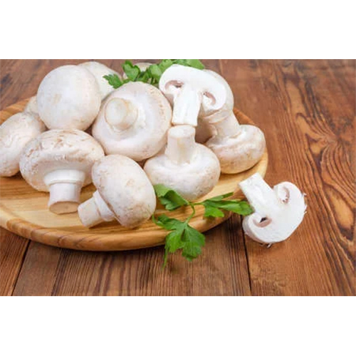 Button Mushroom