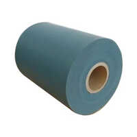 Ptfe Turcite Sheet Length: 300 Millimeter (mm)