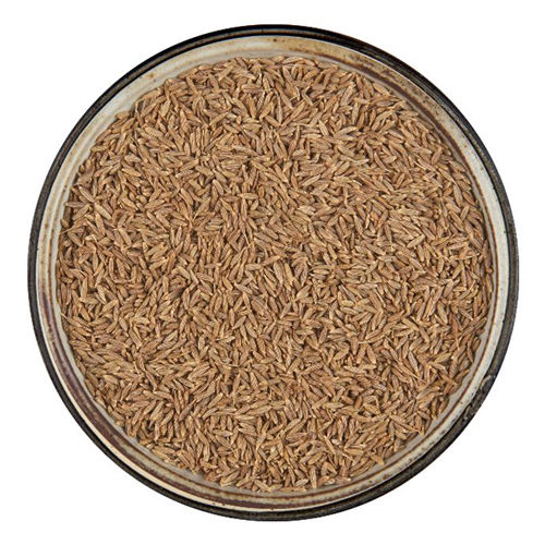 Cumin Seed