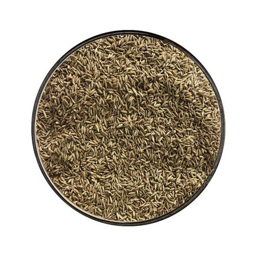 Cumin Seed