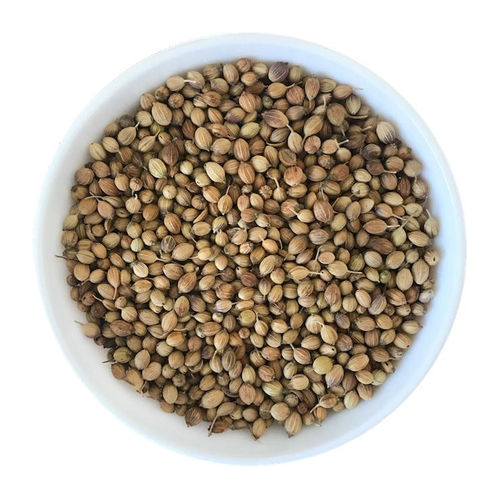 Coriander Seed