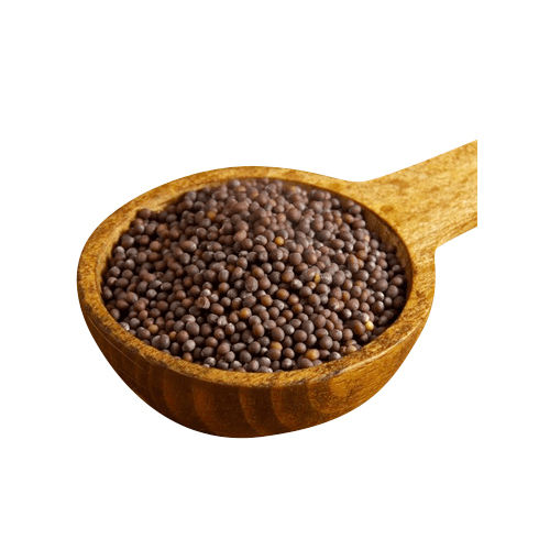 Brown Fresh Mustard Seed