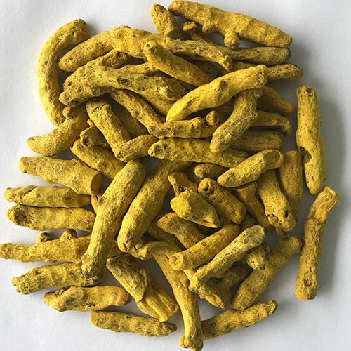 Yellow Good Grade Turmeric Finger