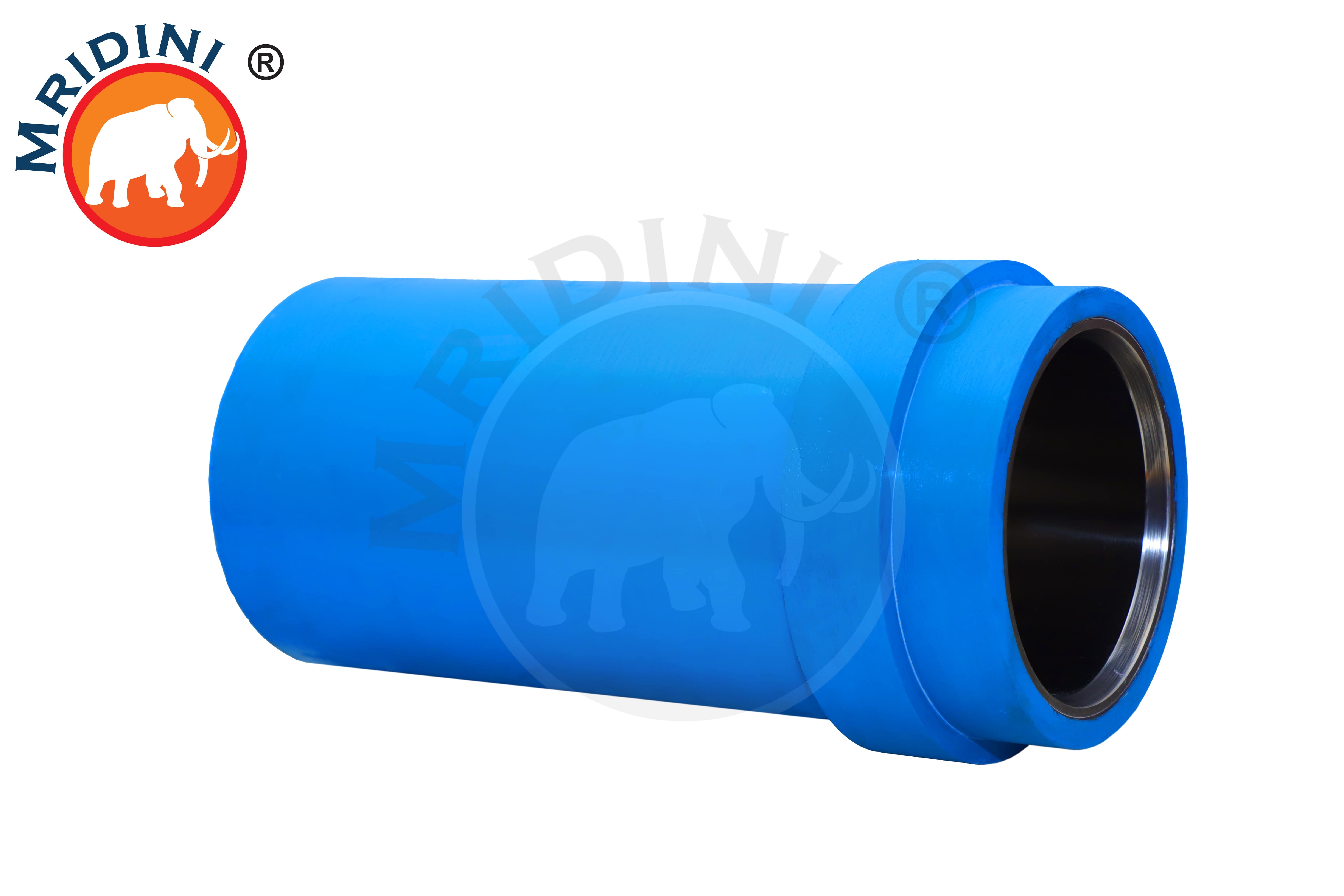 SS Ferrous Centrifugal Casting