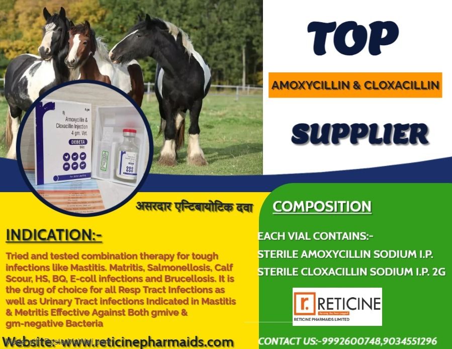 VETERINARY INJECTION MANUFACTURER IN UTTARAKHAND