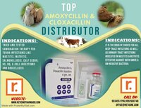 VETERINARY INJECTION MANUFACTURER IN ANDHRA PRADESH