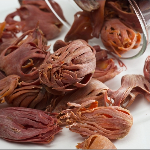 Mace Seed