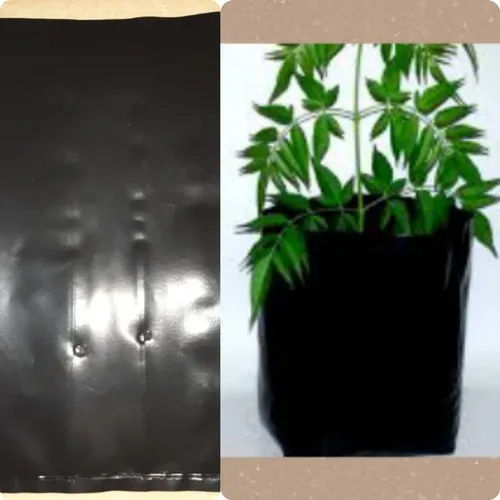 LDPE Black Nursery Poly Bag/nursery Plantation Bags