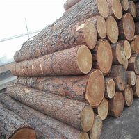 Pine Logs - Best Grade Pine Wood Logs And Timber Wood Logs | Premium Quality, Durable Material, Versatile Use