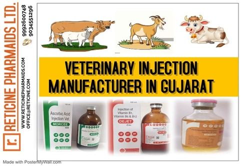 VETERINARY INJECTION MANUFACTURER IN GUJARAT