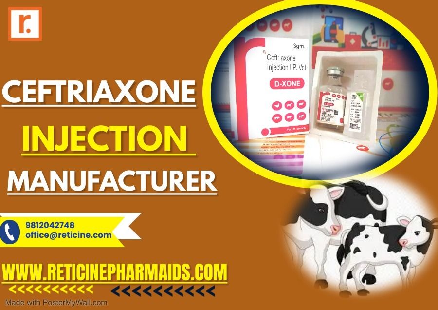 VETERINARY INJECTION MANUFACTURER IN GUJARAT