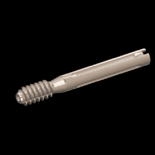 Silver Lag Screw