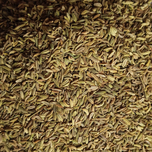 Delight Fennel Seed