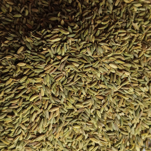 Dried Royal Green Fennel Seed