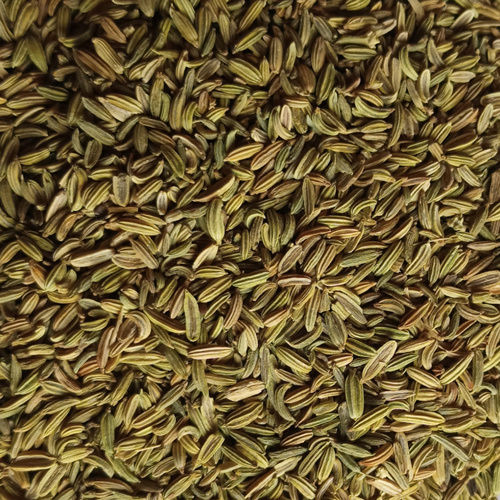 Brown Classic Fennel Seed