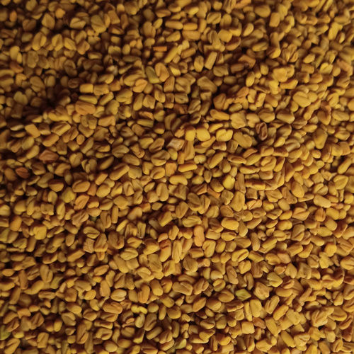 Yellow Fenugreek Seed