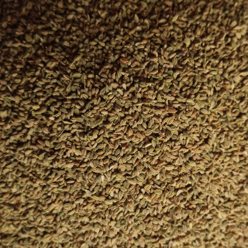 Bold Ajwain Seed